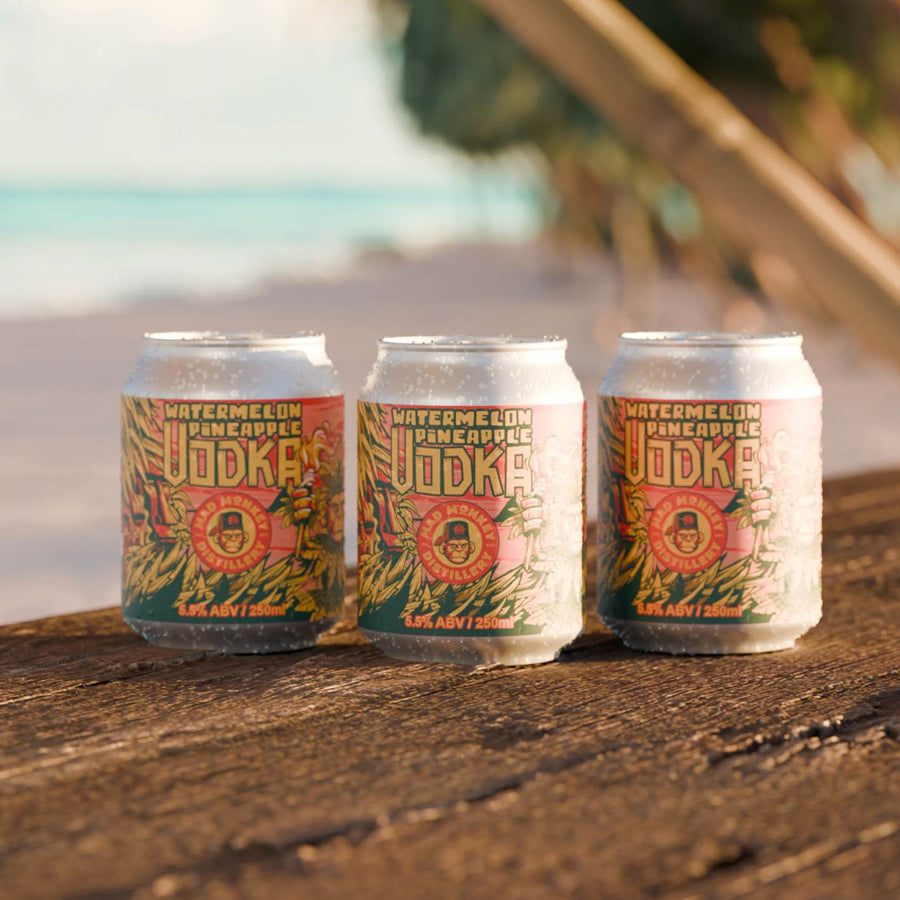 Watermelon and Pineapple Vodka Seltzer 4PK
